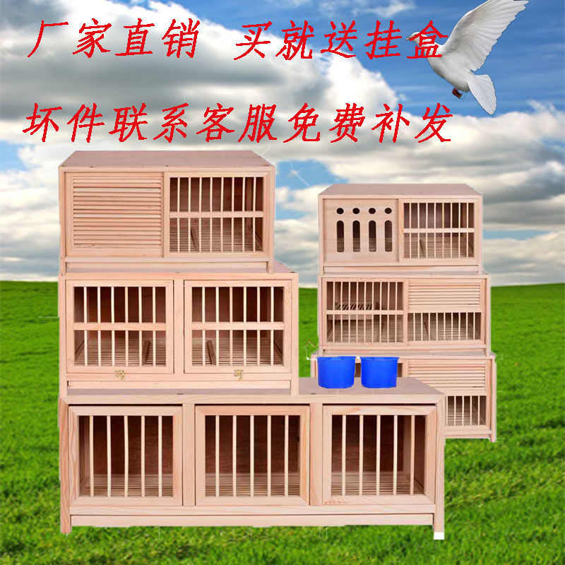 用具鸽笼笼箱笼子用品巢飞配对实木支持鸽子赛组合木质信鸽