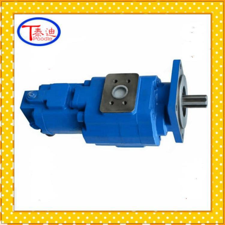 P257-G634872GA67/P124-G20ZNG双联泵 柳工862装载机双联齿轮泵