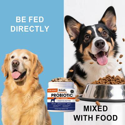 Kriath Probiotic Chews for Dogs - Gentle Formula for Daily N