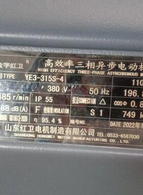 山东源头厂家供应 YE3-315S-4/110W 低噪音三相异步电动机 质保