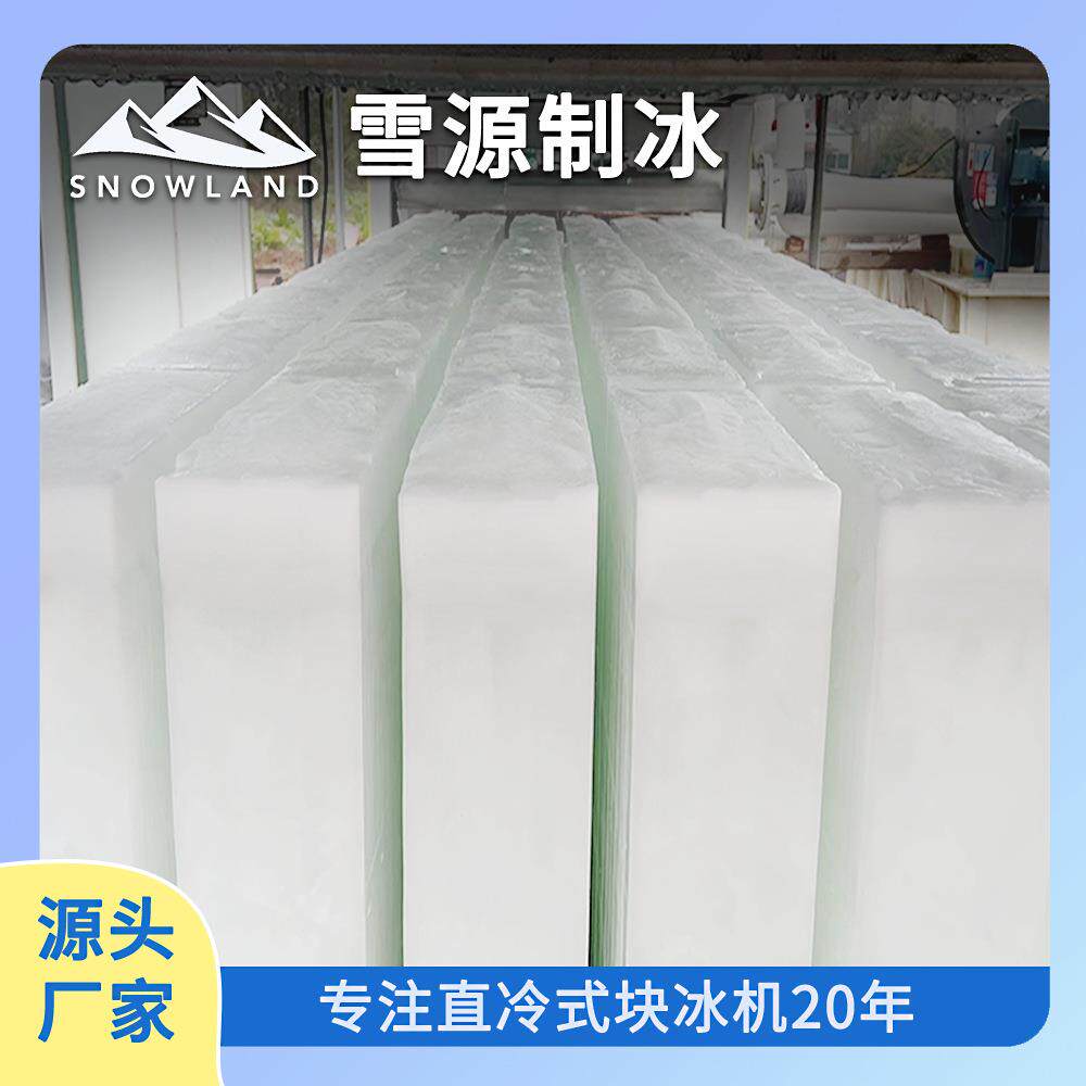 雪源 35吨工业制冰机大型冰砖机 渔船港口码头保鲜降温制冰设备