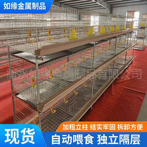 三层立式肉鸡笼三层四层鸡笼H型立式粪盘肉鸡笼养鸡场镀锌肉鸡笼
