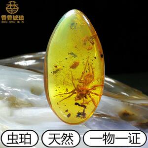 纯天然缅甸琥珀吊坠虫珀蜘蛛活水胆植物昆虫动物琥珀化石蛋面水滴