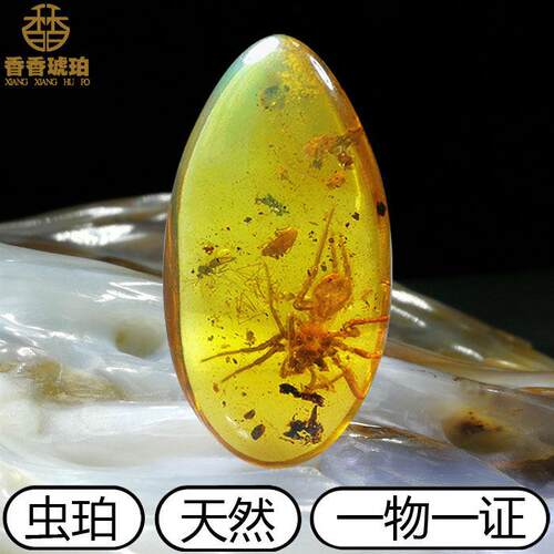 纯天然缅甸琥珀吊坠虫珀蜘蛛活水胆植物昆虫动物琥珀化石蛋面水滴