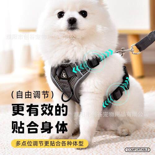 宠物牵引绳新款狗狗防挣脱胸背设计犬用牵引带猫咪遛宠神器