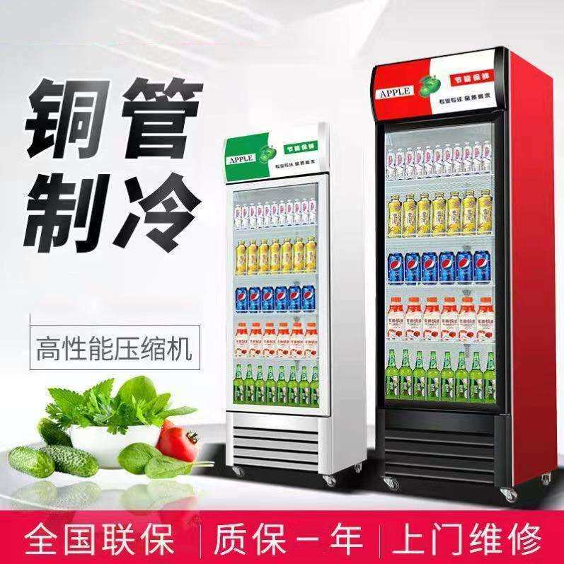 展示柜冷藏商用直冷风冷双门立式冰柜饮料冰箱冷热双温