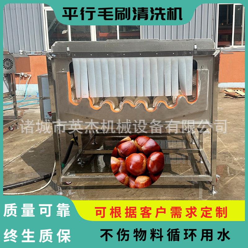 商用栗子平行毛辊机板栗平行毛辊清洗机压喷喷毛刷清洗清洗