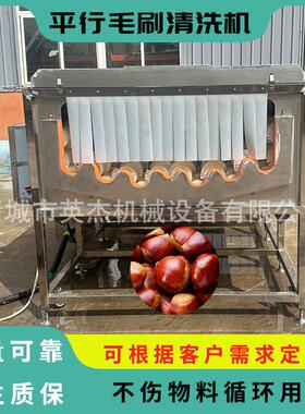商用栗子平行毛辊机 板栗平行毛辊清洗机 压喷喷毛刷清洗清洗