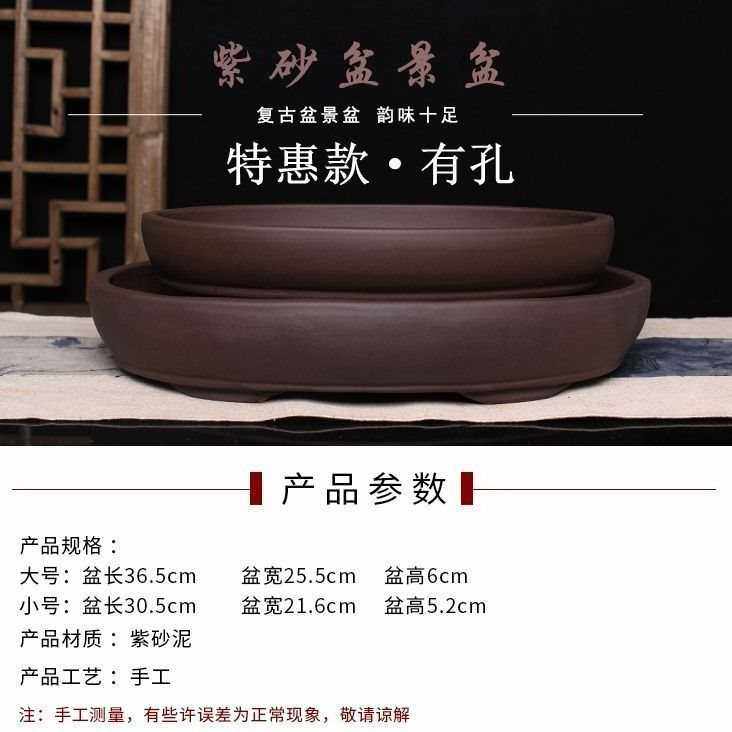 简约紫砂椭圆形促销盆景盆菖蒲水培植物客厅桌面文竹多肉组合泽望,鲜花速递/花卉仿真/绿植园艺,花盆,淘宝优惠券,粉丝福利购,淘宝优惠卷