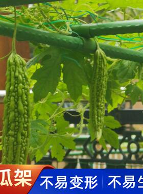 苦瓜架萄葡架子芦爬架藤架猕猴桃藤丝瓜百香果庭YY670759院户外支