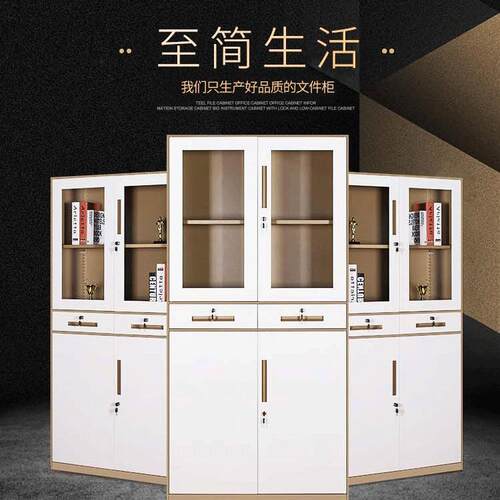 文件柜钢制办公柜员工储物柜置物柜薄边柜柜子拆装柜会计凭证柜