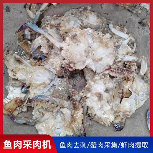 10型螃蟹去壳集采肉机 WDM肉全自动蟹蟹壳分5离机 鲅鱼肉采加工设