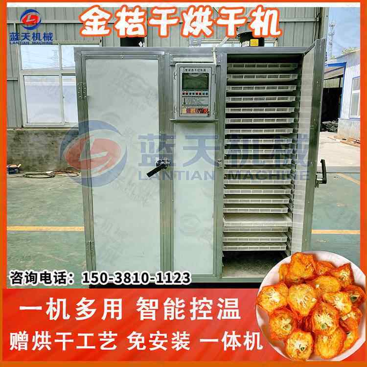 金桔烘干机小型 电加热金橘小金桔烘干房 金桔干金柑水果干烘干箱