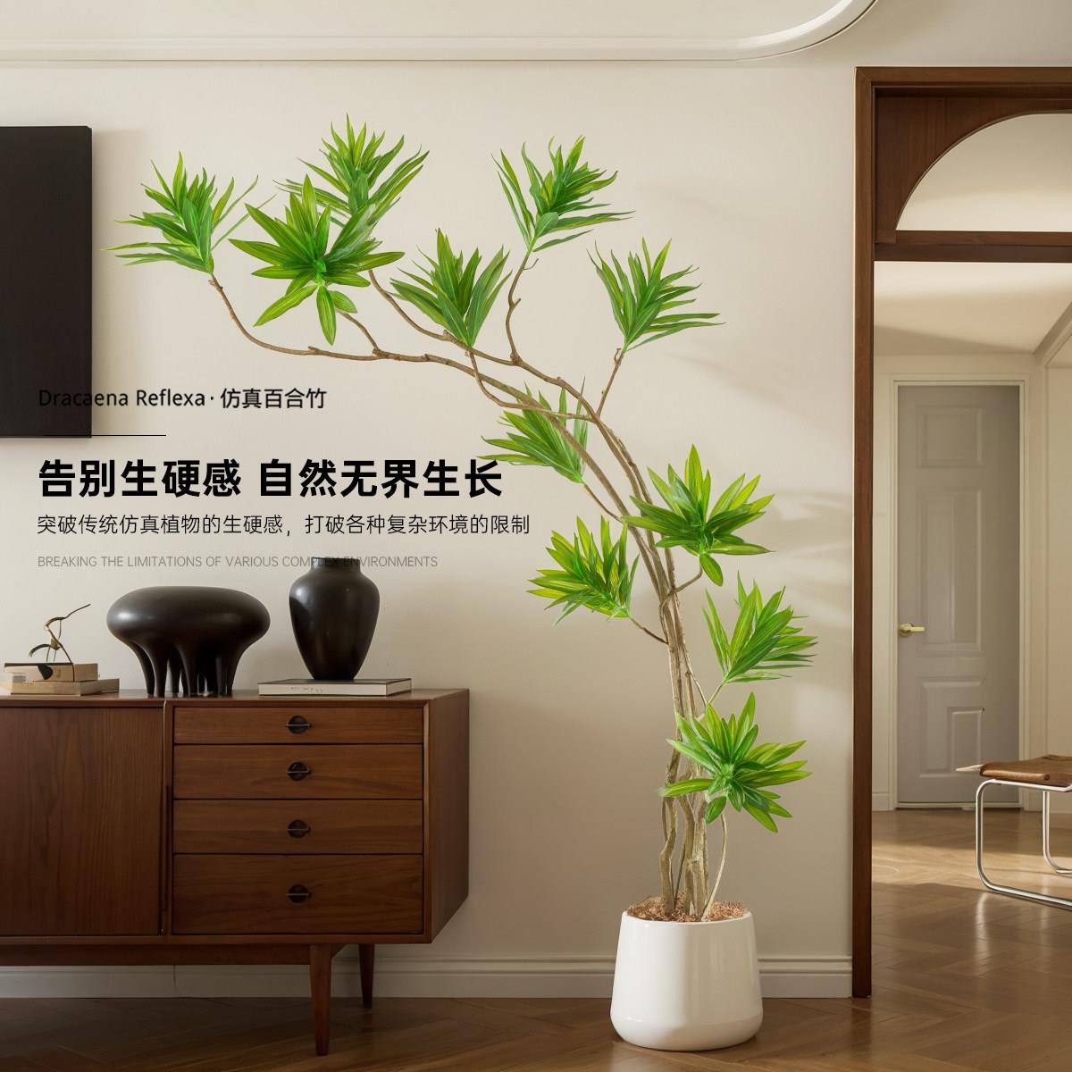 百合竹彷真色植物高端轻百合竹24奢电室内客厅视落地摆件彷生植物