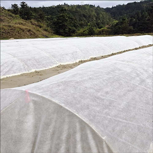 果树防寒无纺布柑橘防霜冻蔬菜保温防寒水稻育秧覆盖苗床铺基底布