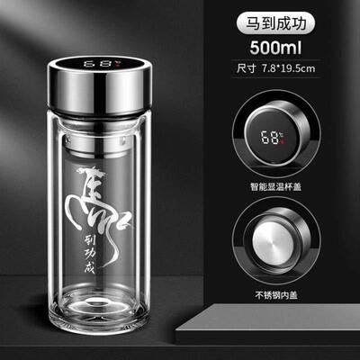 high quality Double glass mens cup tea bottle 玻璃泡茶杯