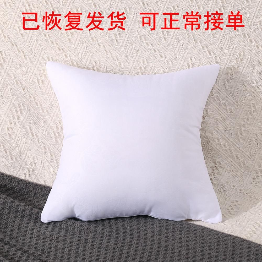 厂家羽丝绒抱枕芯 羽丝棉枕芯 靠垫芯柔软侧睡家居舒睡透气