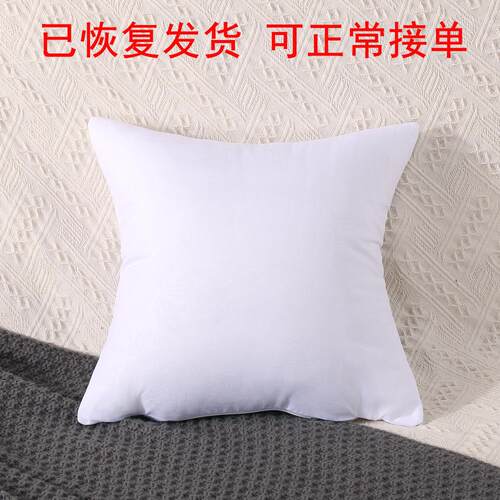 厂家羽丝绒抱枕芯 羽丝棉枕芯 靠垫芯柔软侧睡家居舒睡透气