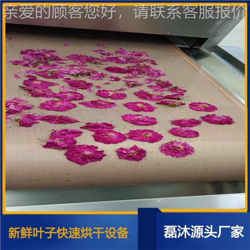 隧道式鲜花微波烘干固设色机 能藏花灭菌备 LM-30KW-红智控制