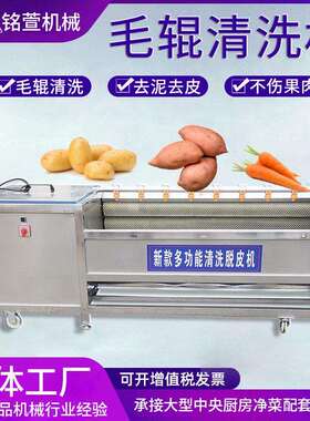 全自动黄精毛辊清洗机多功能根茎类材清洗机去皮去泥效果好