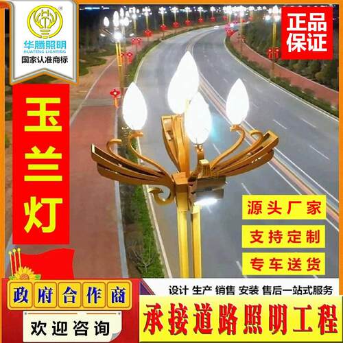 华腾市政道路照明玉兰灯路灯大型户外景观灯广场路边杆亮化灯具