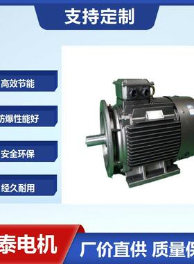 鸿泰二级能效粉尘防爆电机tYFB4-90L-4t1.5KWt380Vt噪音低振动小