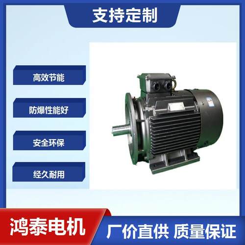 鸿泰一级能效粉尘防爆电机tYFB5-160M-4t11KWt380Vt安装维修方便
