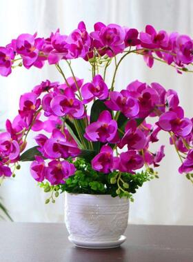 蝴假装GSTA/kWp蝶兰仿真花花套客厅摆家居件室内装饰花电视柜餐桌