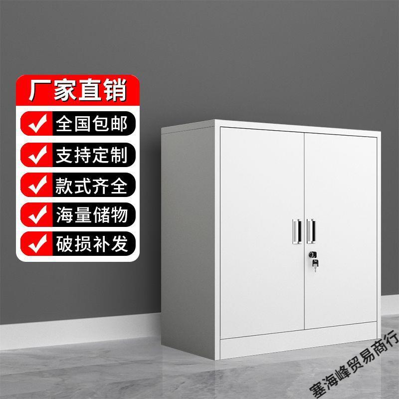 分SOO下节矮柜钢铁制皮柜办公室财务收纳带件柜料柜家资用阳文台