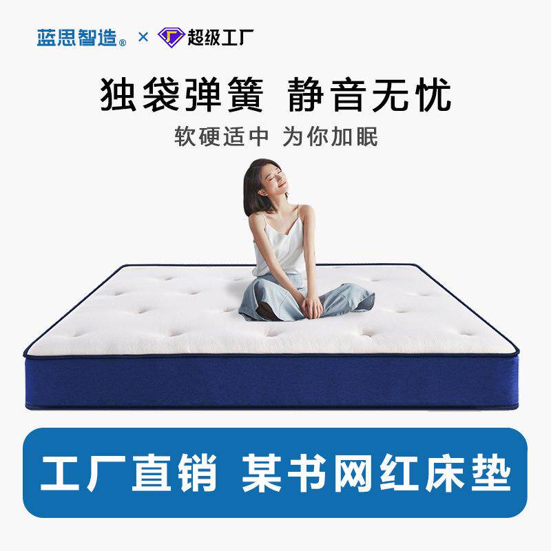 蓝思智造记忆棉乳胶弹簧床垫软垫垫子单人出租房护脊静音高弹力