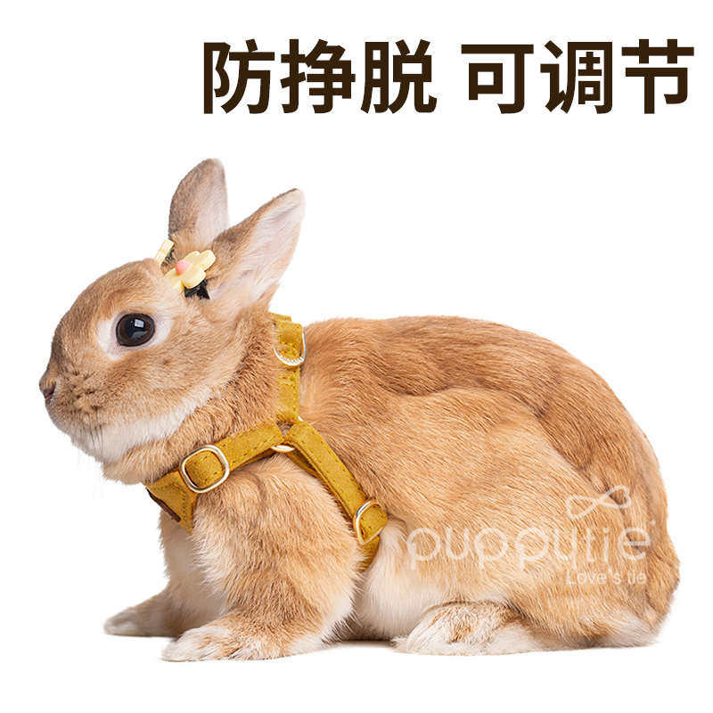 兔子牵引绳兔绳防挣脱兔链子可调节兔绳子遛兔绳侏儒兔宠物用品,宠物/宠物食品及用品,狗牵引绳,淘宝优惠券,粉丝福利购,淘宝优惠卷