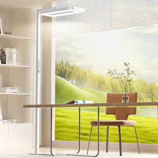 孩视宝落地护眼灯儿童学习专用阅读全光谱台灯大路灯E5-125W-R