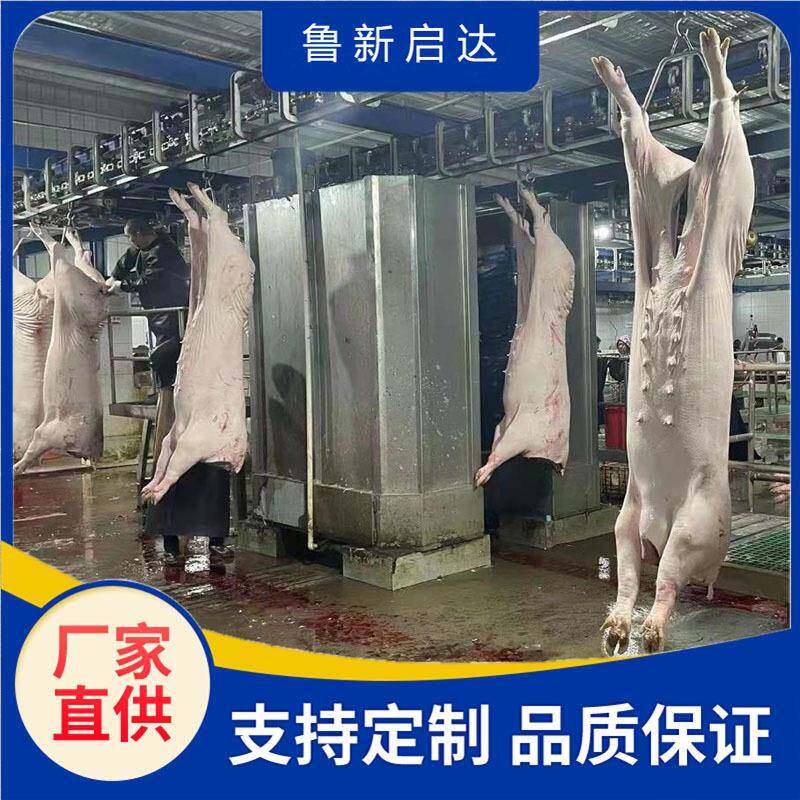 生猪胴体立式洗猪机猪屠宰大型洗猪机全自动毛猪清洗机