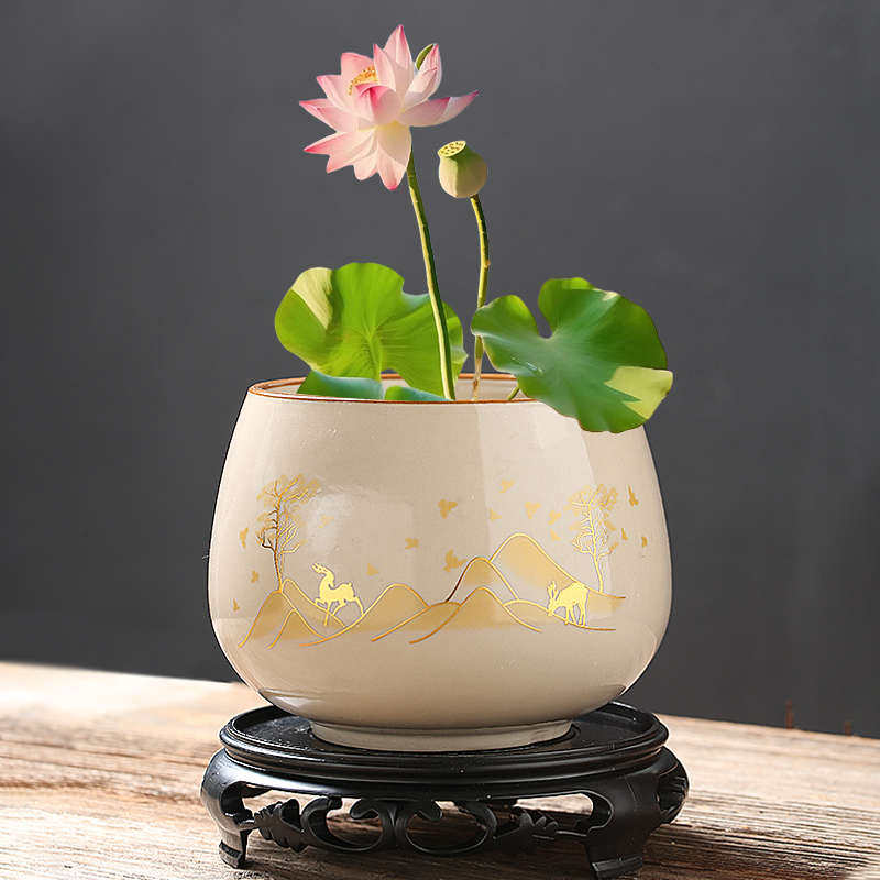 碗莲睡莲铜钱草水培器皿花盆家用大小号水养绿植缸大口径陶瓷,鲜花速递/花卉仿真/绿植园艺,花盆,淘宝优惠券,粉丝福利购,淘宝优惠卷