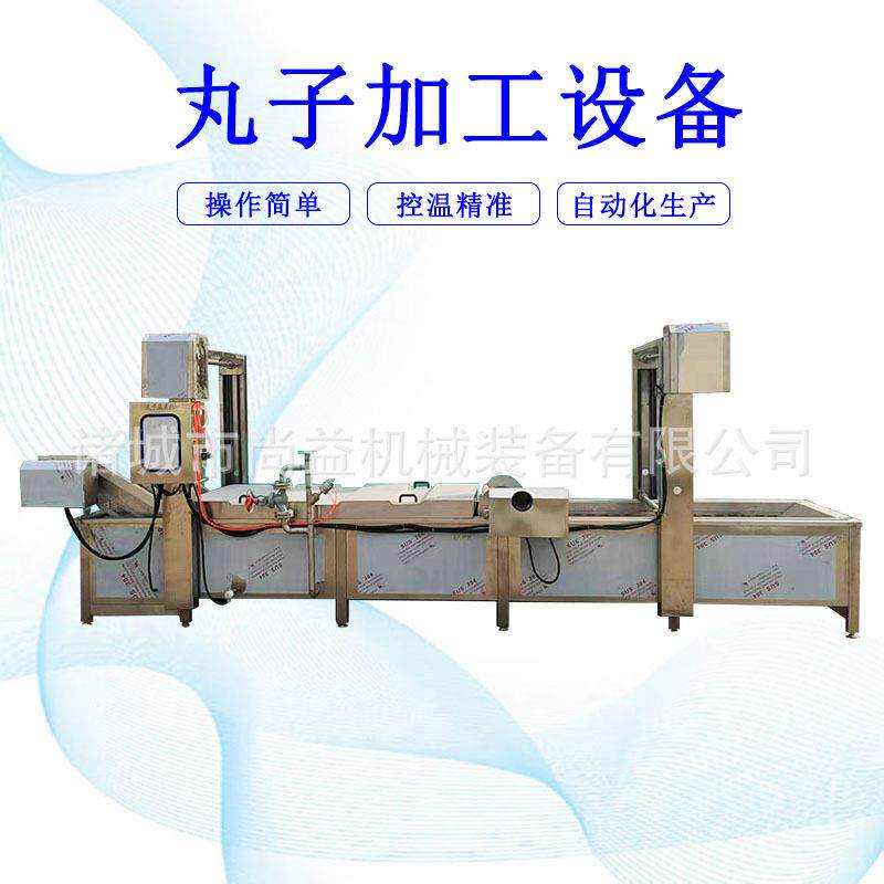 鱼丸定型蒸煮流水线 火锅丸子水煮熟化生产线 全套丸子加工设备