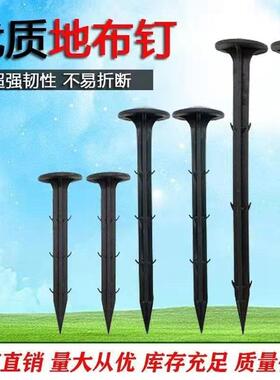 塑料地钉加加粗长拉枝钉大棚地膜色钉农田刺黑除防草布倒QXE地钉