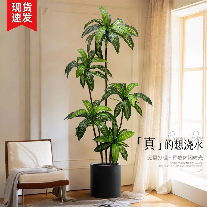 巴西木仿真绿植高端轻奢客厅大型室内电视柜旁摆件装饰树假植物