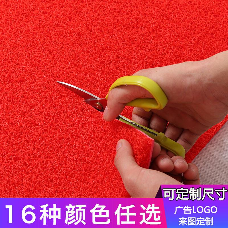 加厚垫子地垫门垫塑料丝圈家用厨房门口进门脚垫地毯汽车脚踏垫