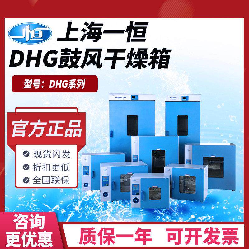 一恒鼓风干 干燥箱DHG-9070A实验室电热恒温干 干燥箱工业可程式