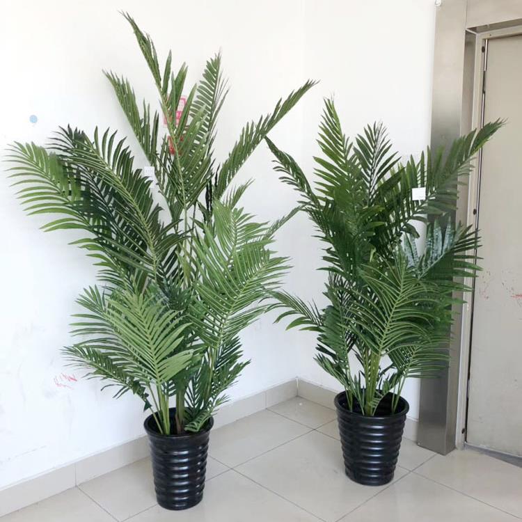 仿真凤尾葵散尾葵仿真绿植盆景环境绿化场景布置装饰道具绿植摆设