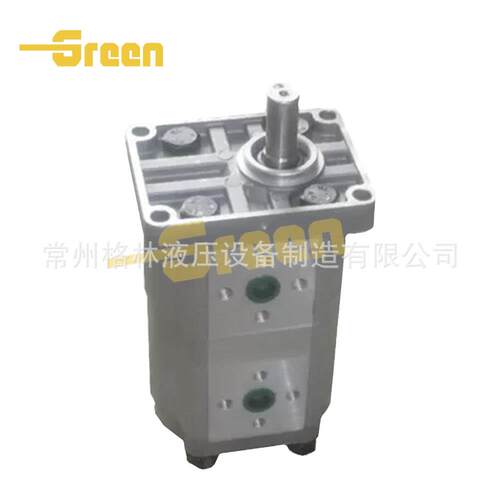 CNL-300齿泵CBNL-E30E液压油泵液压齿B轮泵轮双联泵