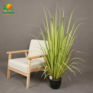 天昆仿真芦苇宽草盆栽仿真绿植家居仿真树装饰网红草地造景假植物