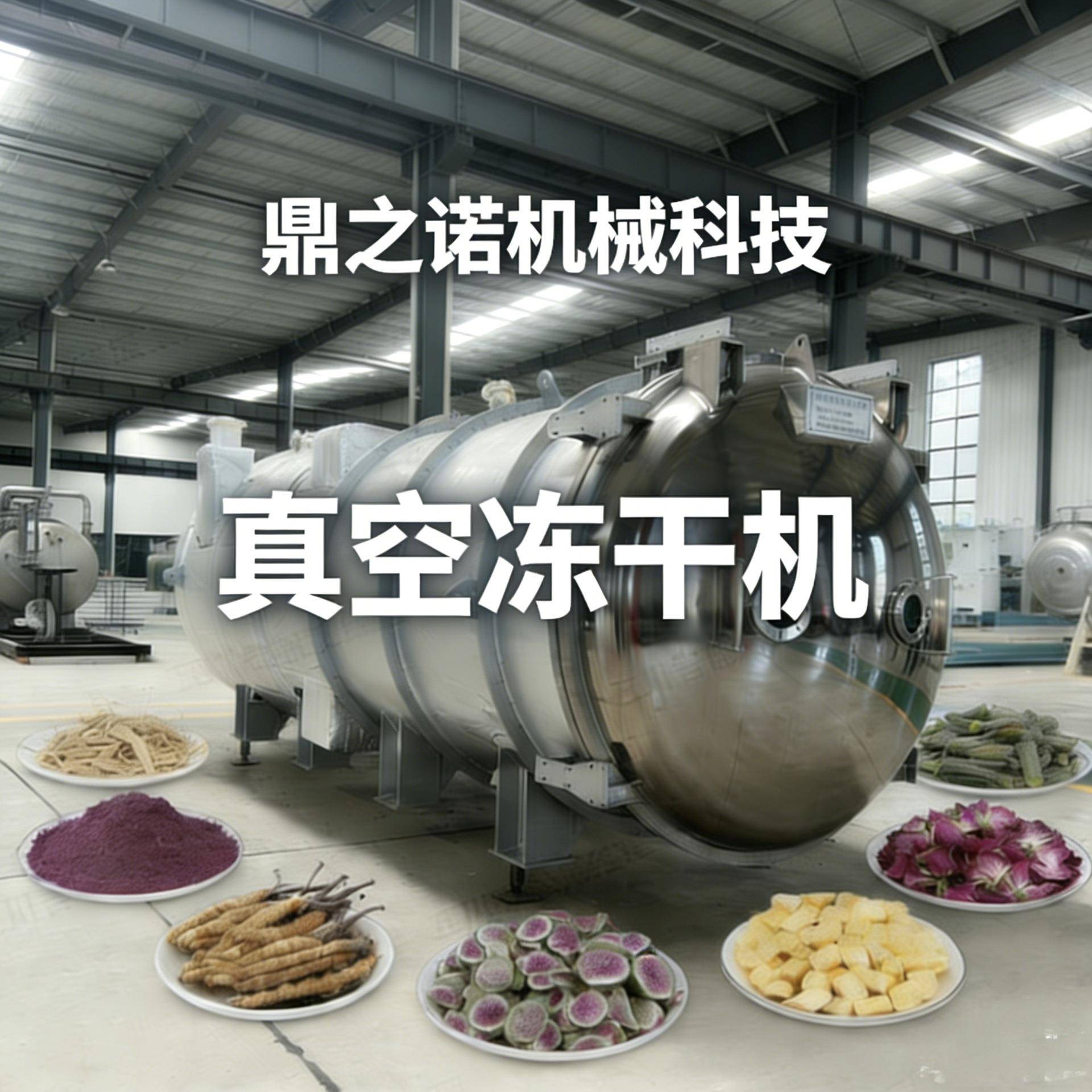 果蔬冻干机真空冻干机大型桑葚酵素冻干机设备低温脱水干燥机