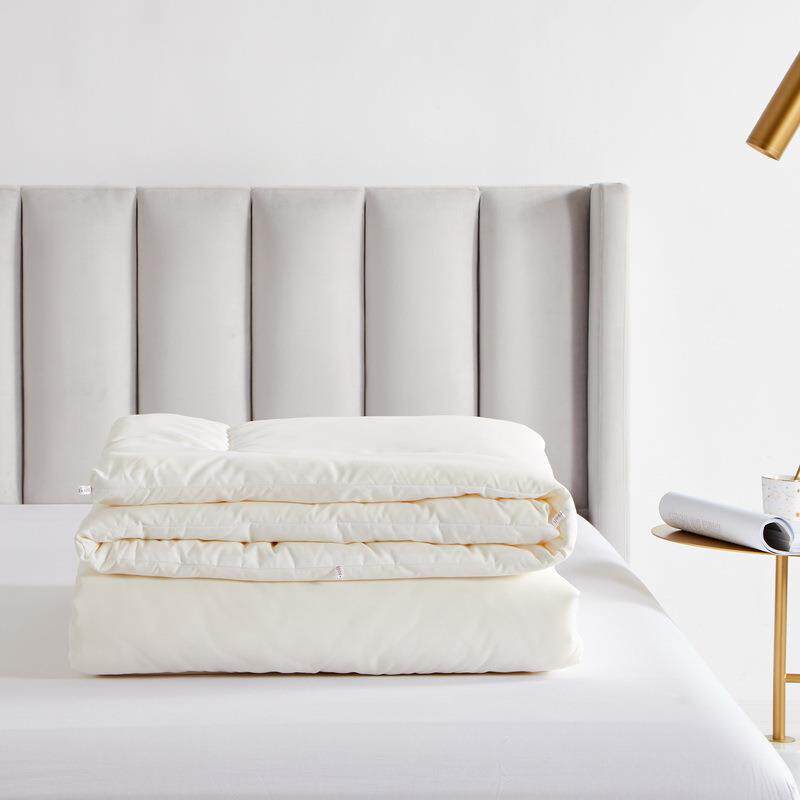 大豆纤维被子 超柔磨毛单人春秋被加厚保暖冬被 纯白色双人被芯2m