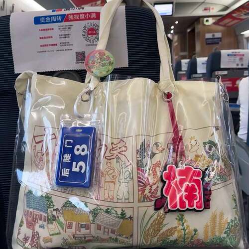 十个勤天帆布包透明保护袋旅行收纳化妆包手提单肩女生周边托特包