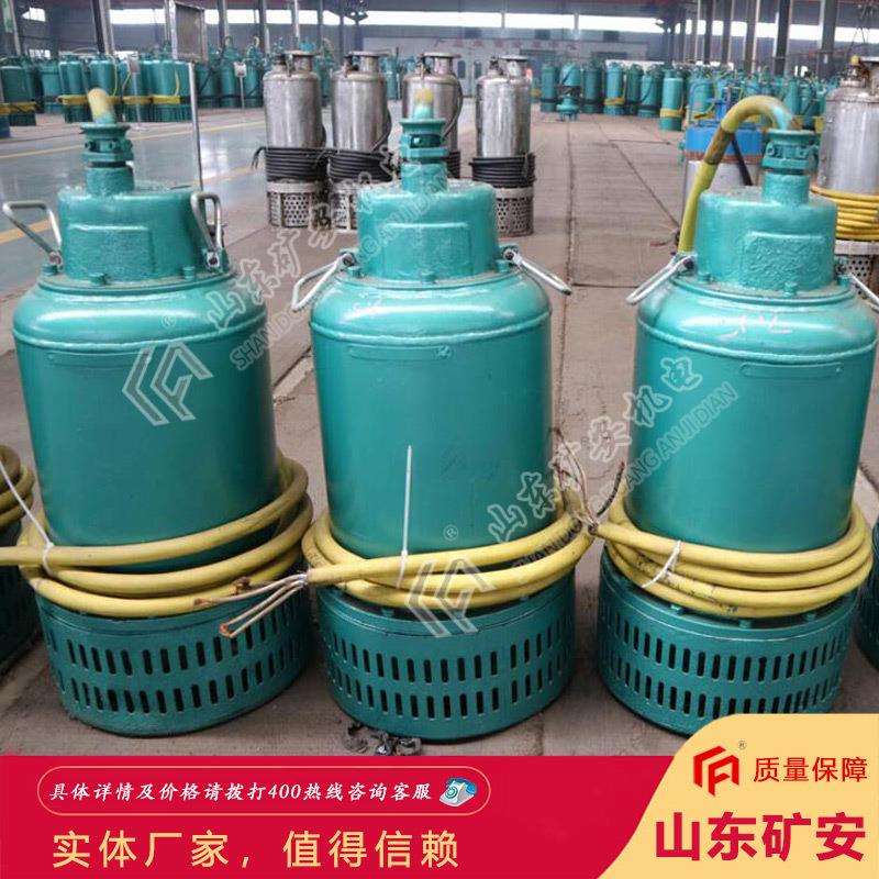 价格实在2.2KWBQS防爆潜水泵 密封性好2.2KWBQS防爆潜水泵