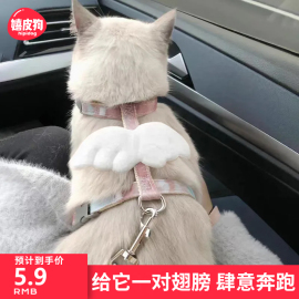 猫咪牵引绳防挣脱外出专用遛猫绳溜猫链子宠物胸背带网红猫猫绳子