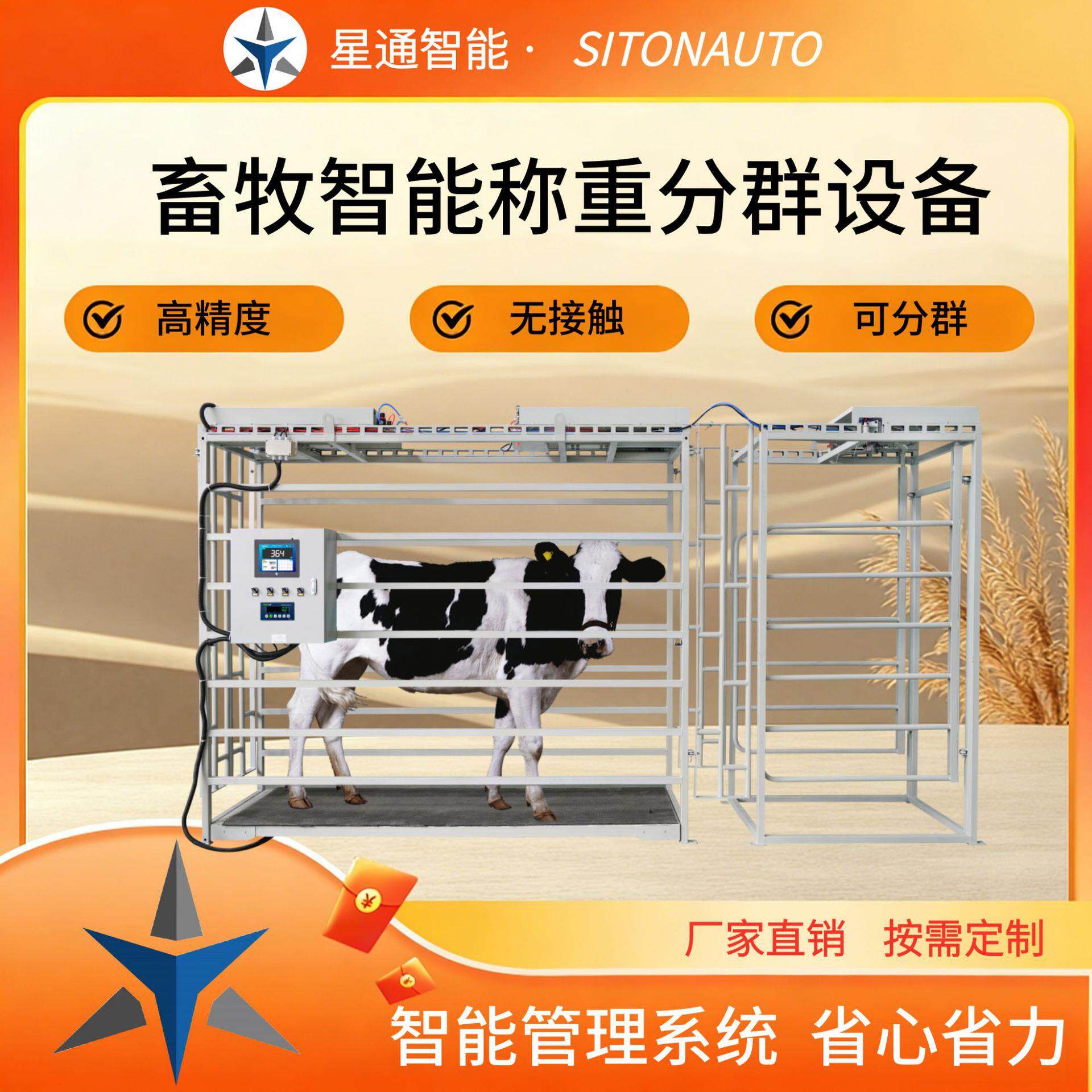牛羊称重分群设备全自动养殖管理肉牛肉羊生长监测可上传
