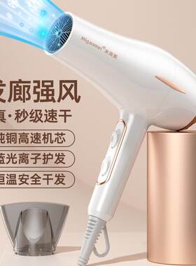 新品吹风机家用负离子护发大功率耐用发廊风力发型师高速电吹风