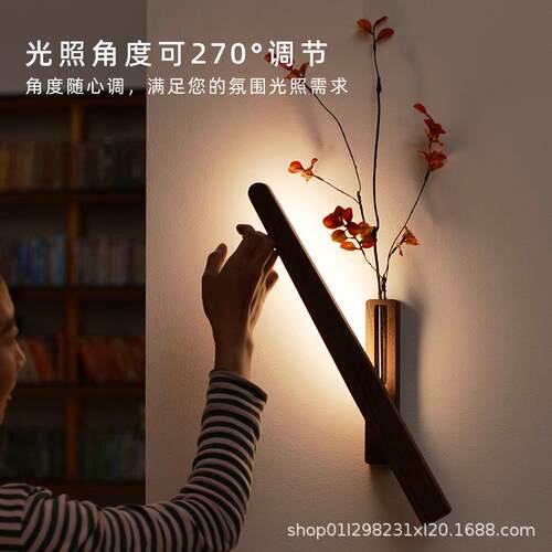 接电款花壁灯506廊025新款简约2卧室客厅走氛围灯插花器墙壁装饰